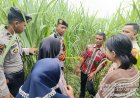 Jasad Wanita Ditemukan di Kebun Tebu Bondowoso, Diduga Meninggal 40+ Hari